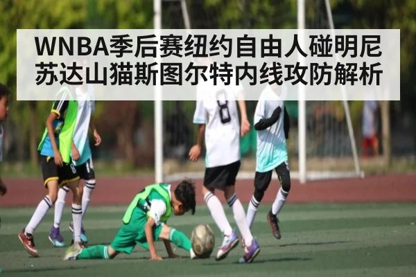 WNBA季后赛纽约自由人碰明尼苏达山猫斯图尔特内线攻防解析